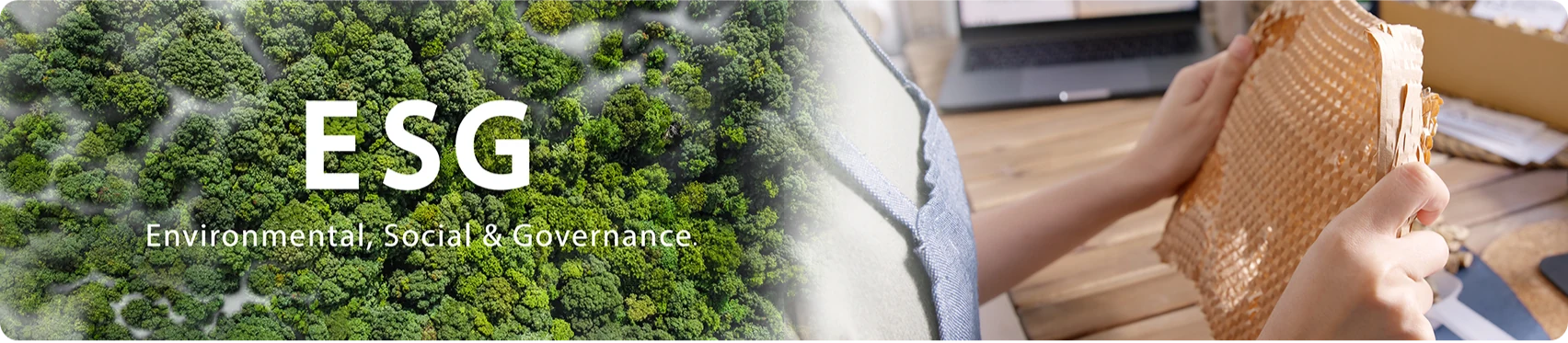 ESG · Environmental, Social & Governance